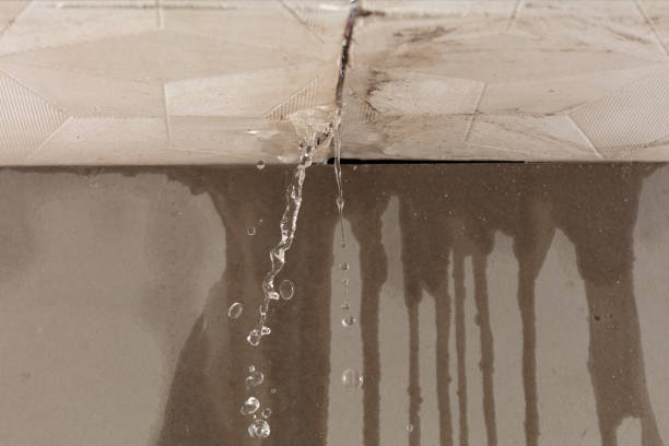Professional Water Damage Repair technician working in New Home, TX